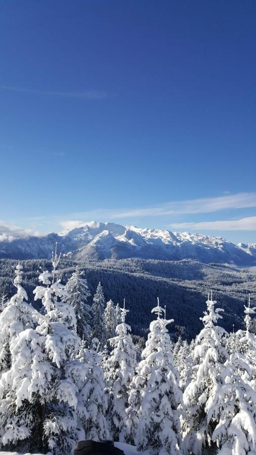 Kalvarienberg Appartement Gosau Dış mekan fotoğraf